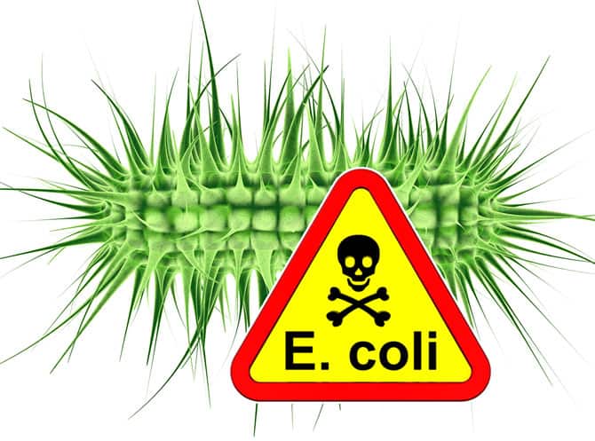 Warning – E coli Outbreak In Canada