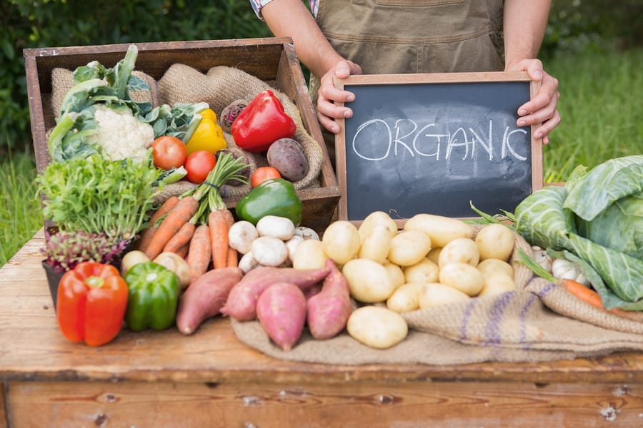 Is Organic Food Worth the Hype and Expense?
