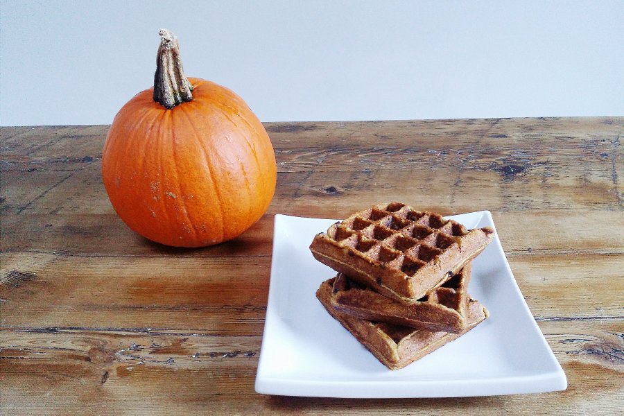 No need to buy frozen waffles! You can make your own healthy pumpkin freezer waffles and enjoy them all year long with this recipe from Rebecca Earl!
